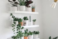 Transform Your Space with a Plant Wall