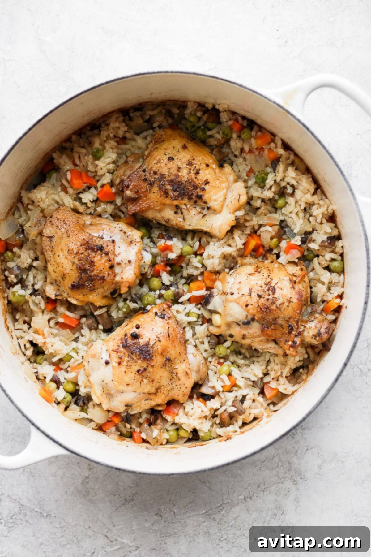 One-pot chicken and rice in a Dutch oven, featuring golden-brown chicken thighs and a vibrant rice medley.