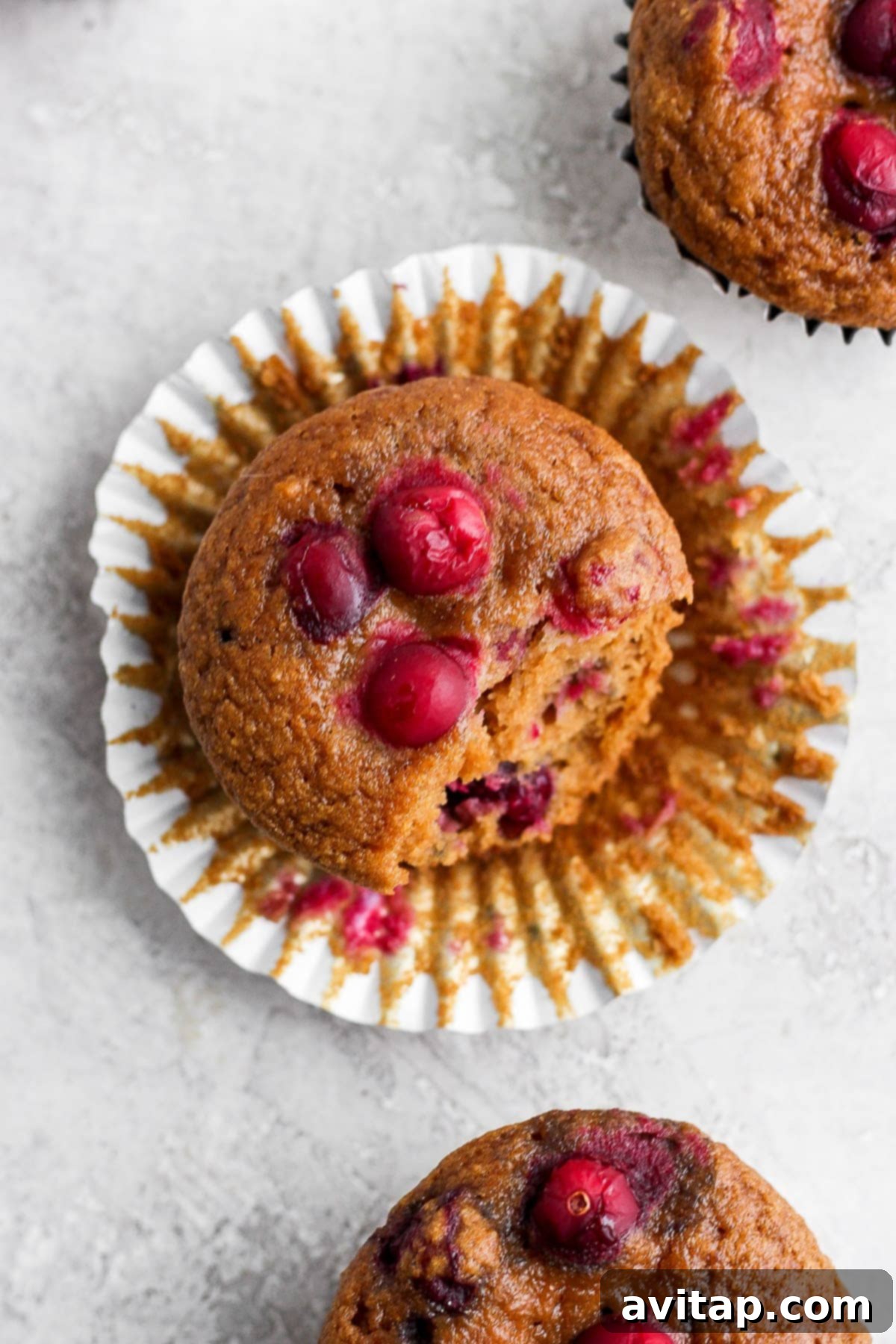 A single cranberry orange muffin, perfectly baked and sitting in its paper liner, ready to be enjoyed.