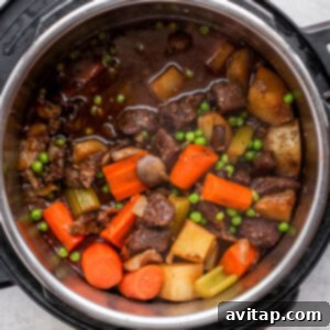 instant pot beef stew with vegetables