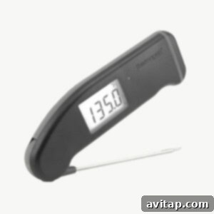 Digital meat thermometer
