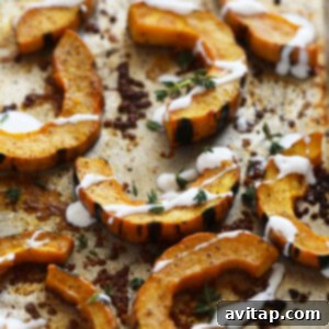 Delicata squash roasted to perfection on a pan, garnished with herbs and creamy sauce.