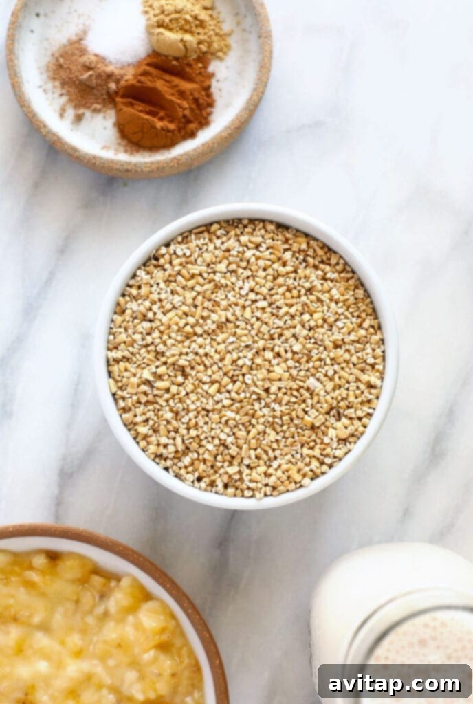 Close-up of uncooked steel cut oats, showcasing their distinct grain-like appearance before cooking.