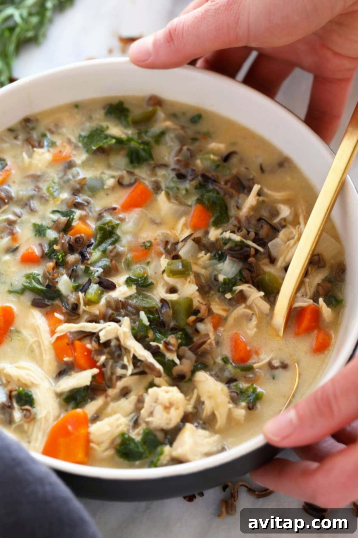 Cozy stovetop Chicken Wild Rice Soup, creamy with a delicious roux and packed with healthy veggies. A steaming bowl of creamy chicken wild rice soup, garnished with fresh herbs.