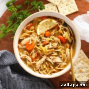 instant pot chicken noodle soup in bowl