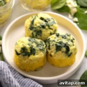 egg bites on plate