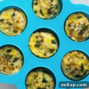 cooked egg bites in mold.