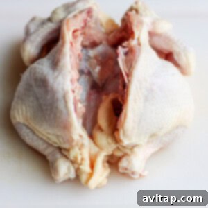 Image demonstrating the process of cutting out the spine from a chicken using kitchen shears for spatchcocking.