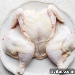 Flattened, uncooked spatchcock chicken resting on a plate, showing its prepared form before seasoning.