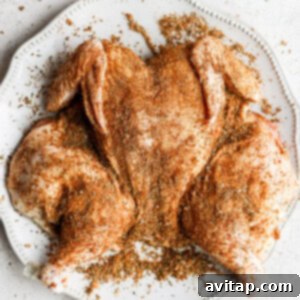 Chicken fully seasoned with a dry rub, resting on a plate and ready for the next step in the cooking process.