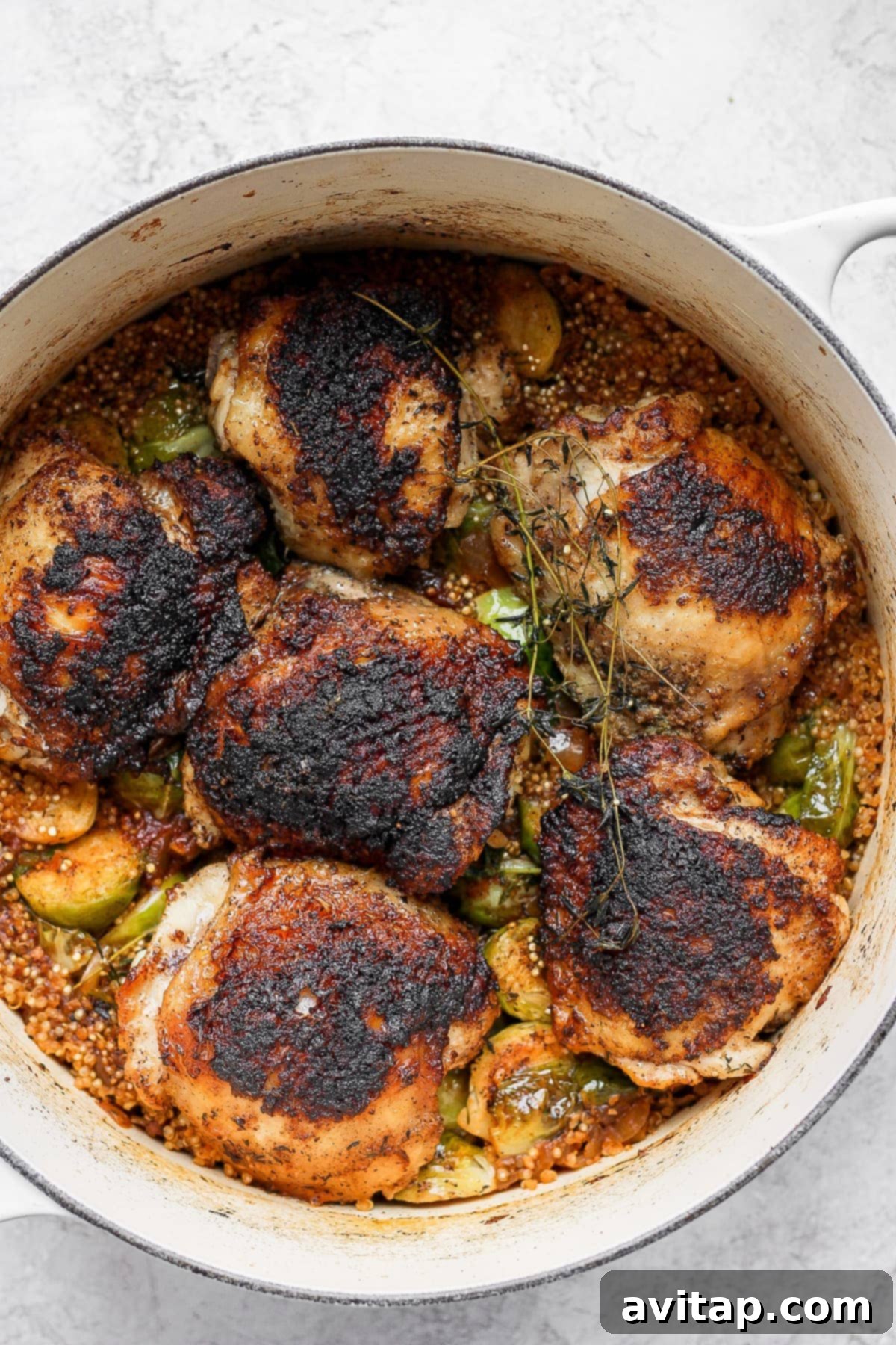 Perfectly seared and cooked Dutch oven chicken thighs with Brussels sprouts and quinoa, ready to be served.