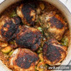 Cooked chicken thighs in Dutch oven with Brussels sprouts and quinoa