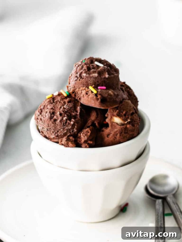 Chocolate protein nice cream, illustrating a healthy frozen dessert.