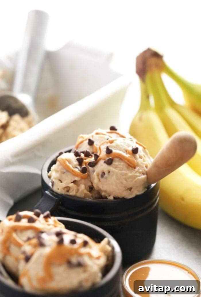 Peanut butter banana soft serve topped with chocolate chips.