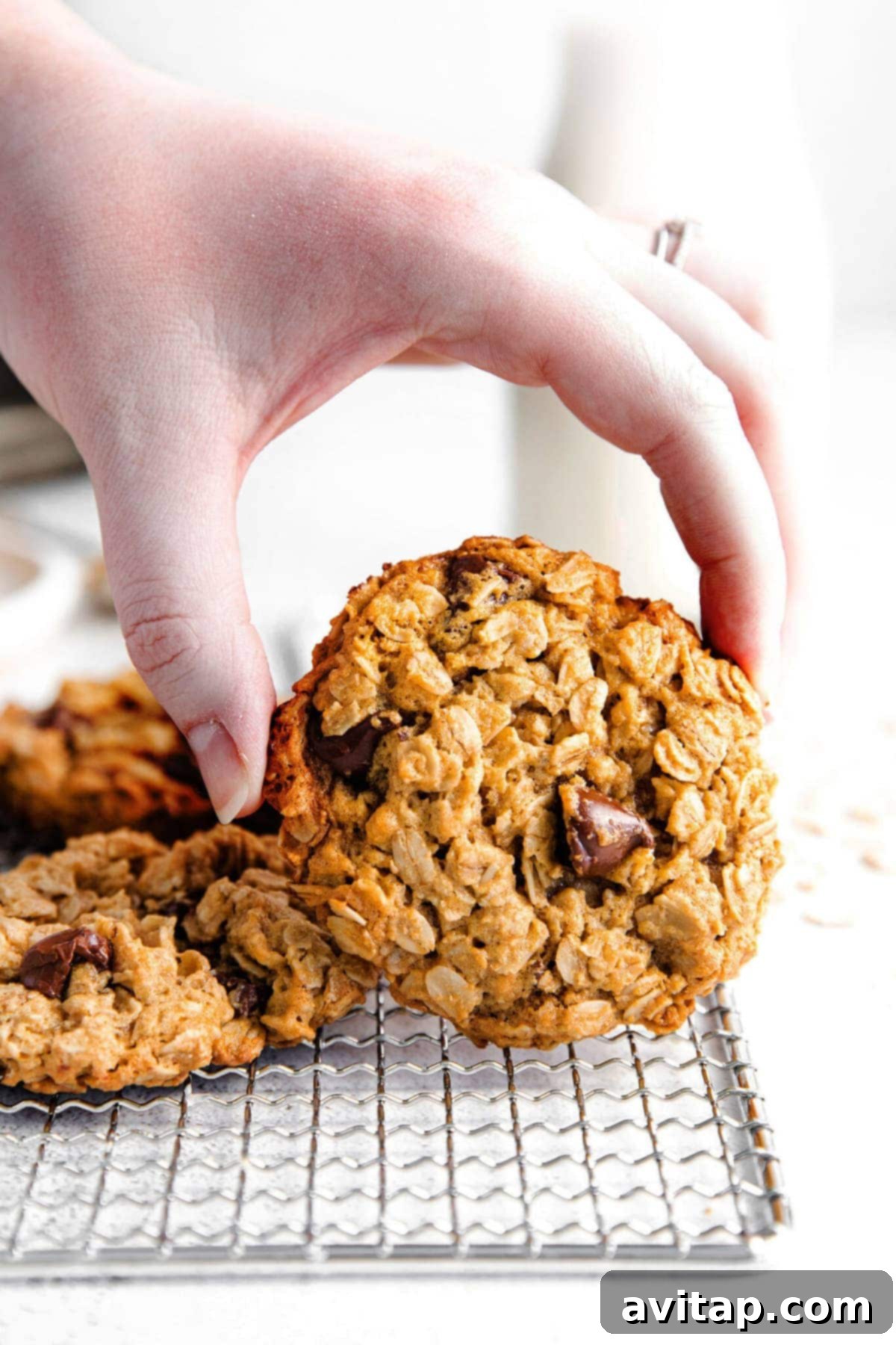 Peanut butter oatmeal cookies arranged on a wire rack, showcasing their texture and golden color.