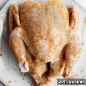 A whole chicken fully seasoned with dry rub.