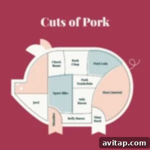 Diagram showing different cuts of pork on a pig.