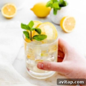 A crisp and inviting vodka cocktail, garnished with a lemon slice and ready to drink.