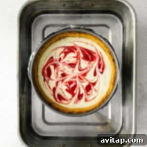 A red and white swirled Greek yogurt cheesecake baking in a metal springform pan within a water bath.