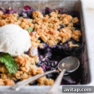 Blueberry crisp in a pan with ice cream.