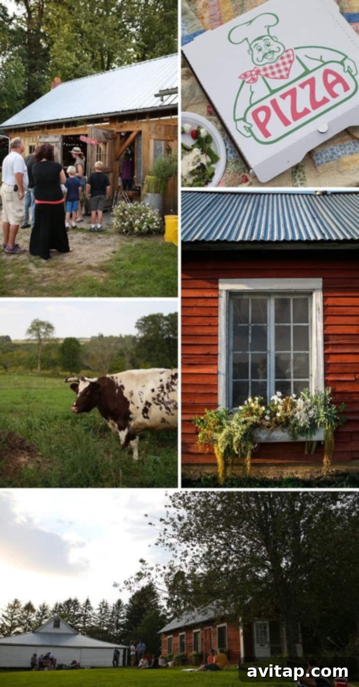 Scenic view of A to Z Pizza Farm in Stockholm, WI, showcasing a bustling outdoor dining area with farm-fresh pizzas, a perfect day trip from the Twin Cities.