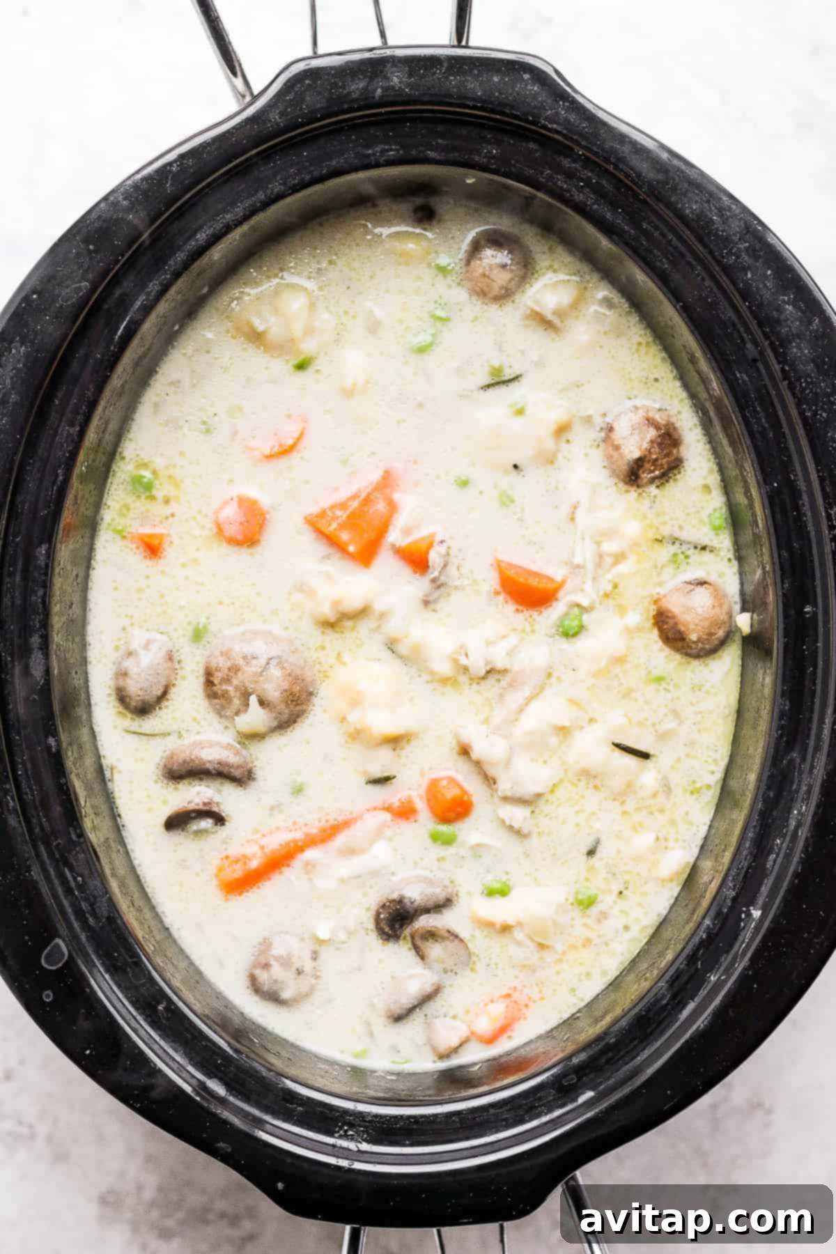 A full slow cooker brimming with rich slow cooker chicken and dumplings, ready to be served.