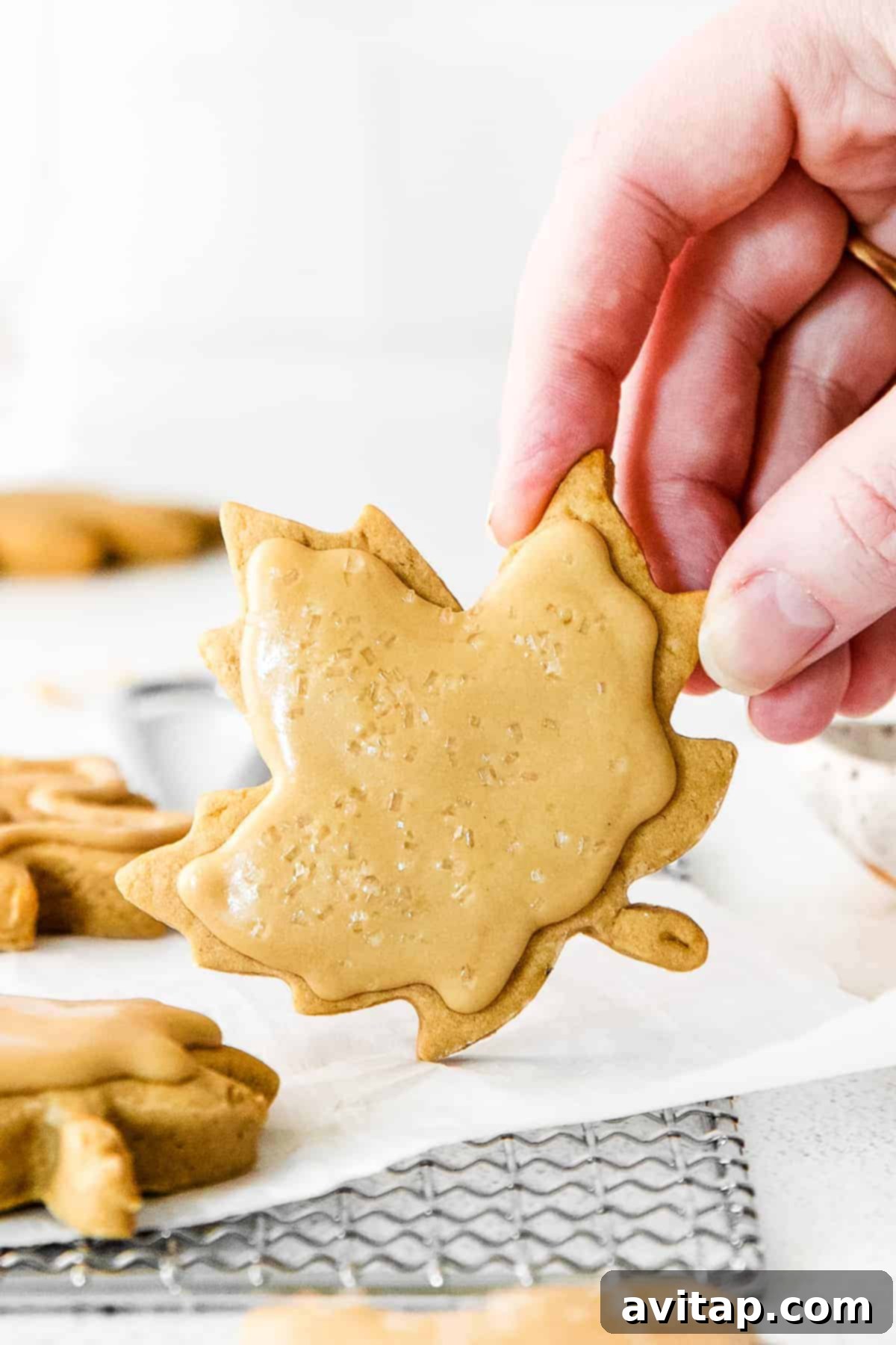 hand holding a perfectly baked maple sugar cookie, showcasing its golden-brown edges and inviting texture