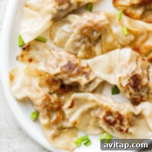 Pork dumplings presented on a white plate with green onions.