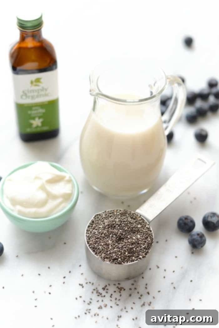 Individual ingredients for blueberry chia seed pudding laid out on a table: blueberries, chia seeds, yogurt, almond milk, vanilla, honey, and lemon.