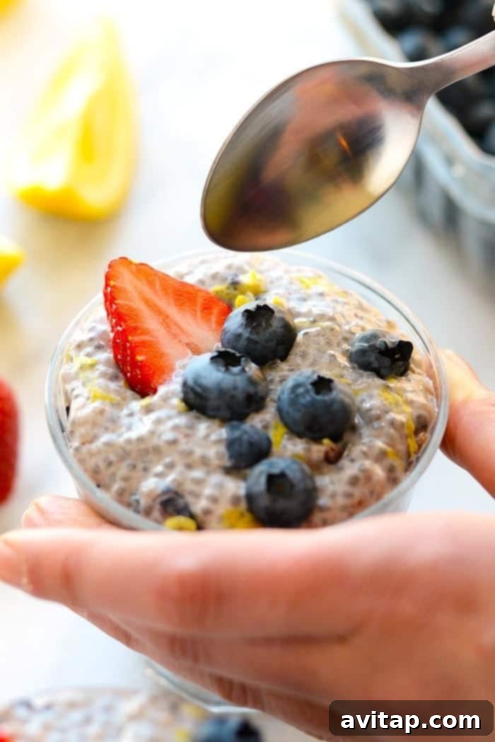 A spoon gracefully dipping into a serving of creamy blueberry chia seed pudding, showing its rich texture.