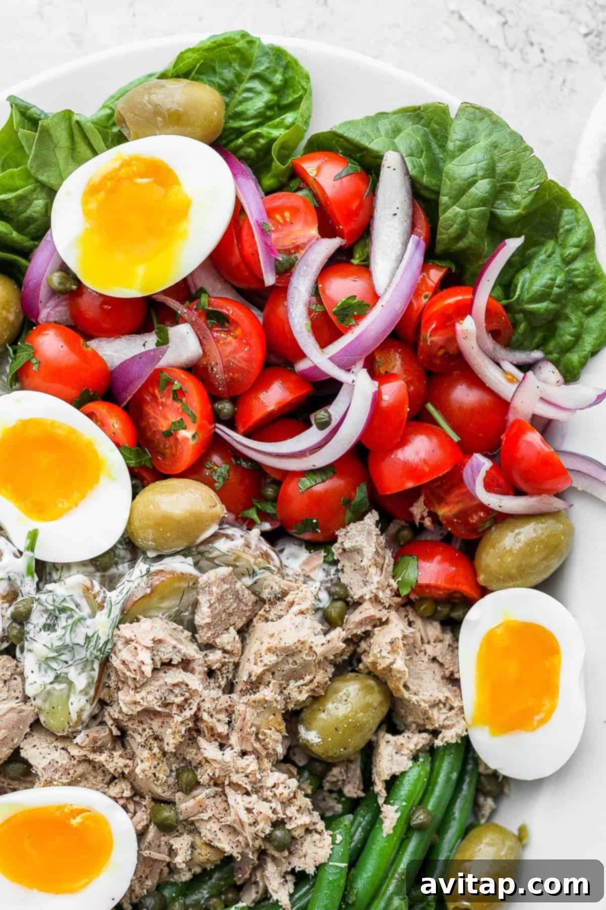 Nicoise salad presented beautifully on a platter, showcasing all its fresh ingredients.