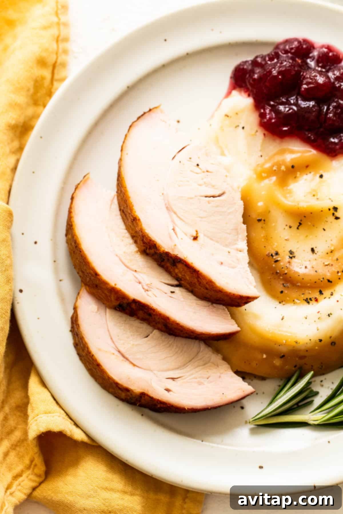 Sliced turkey plated with creamy mashed potatoes and vibrant cranberry sauce, a classic holiday spread. 