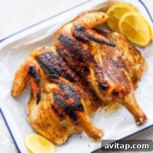 Perfectly Grilled Whole Chicken 2 A beautifully grilled whole chicken, spatchcocked and golden-brown, resting on a platter.