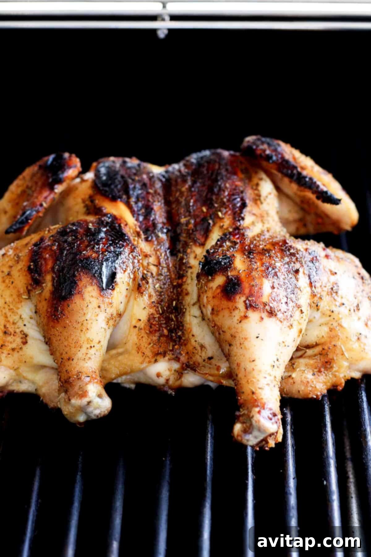 Whole chicken on grill. A whole spatchcock chicken cooking perfectly on a gas grill over indirect heat, achieving a beautiful golden-brown crust.