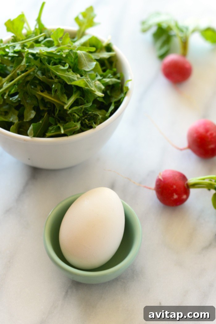Toast Tuesday Egg and Arugula Special 5 Beautifully plated Egg and Arugula Toast with radishes and herbs