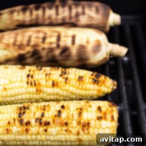 Ears of corn with husks on grilling over direct heat.