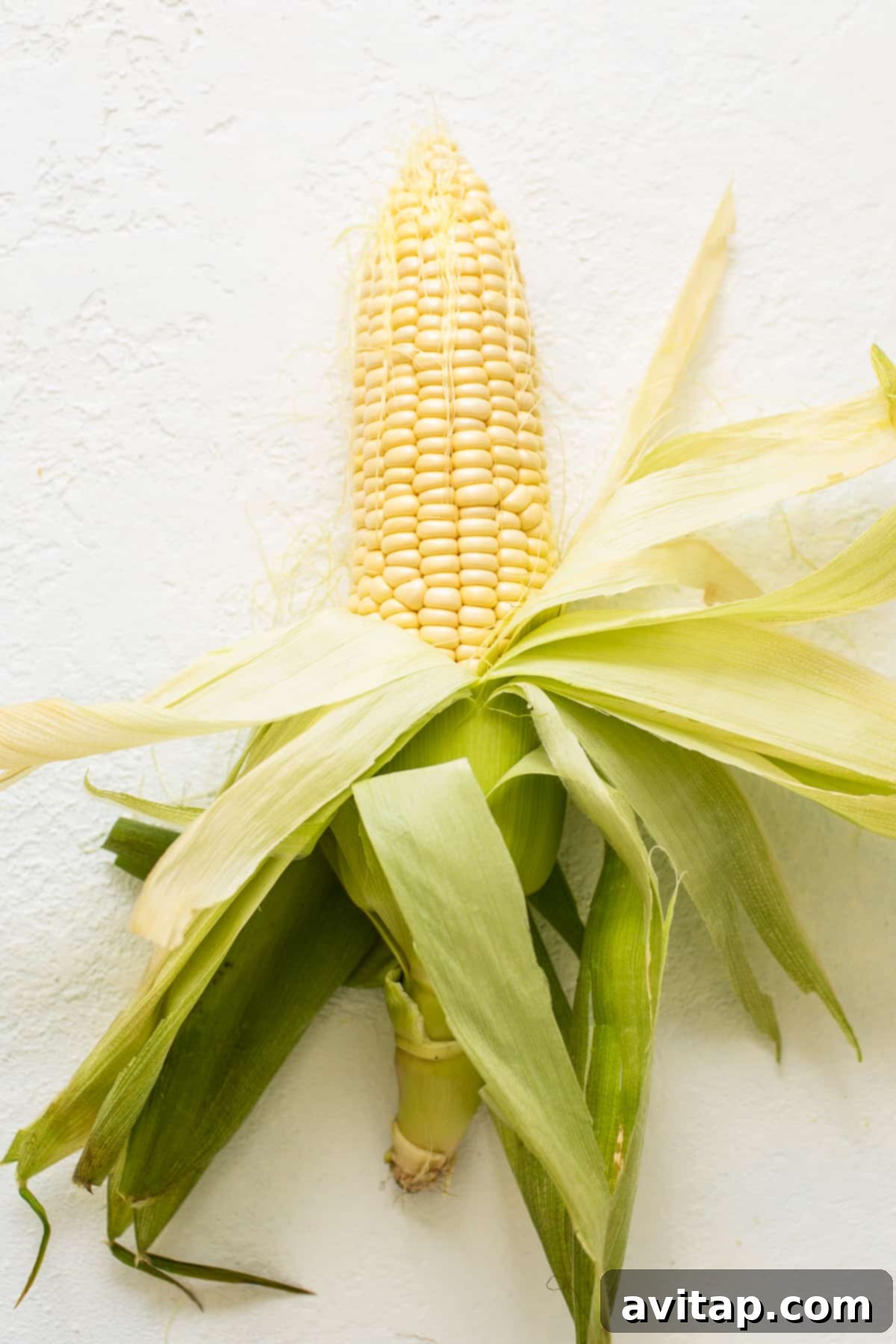 Preparing Corn: The Art of Shucking for Grilling A person shucking corn on the cob, removing the husk and silk.