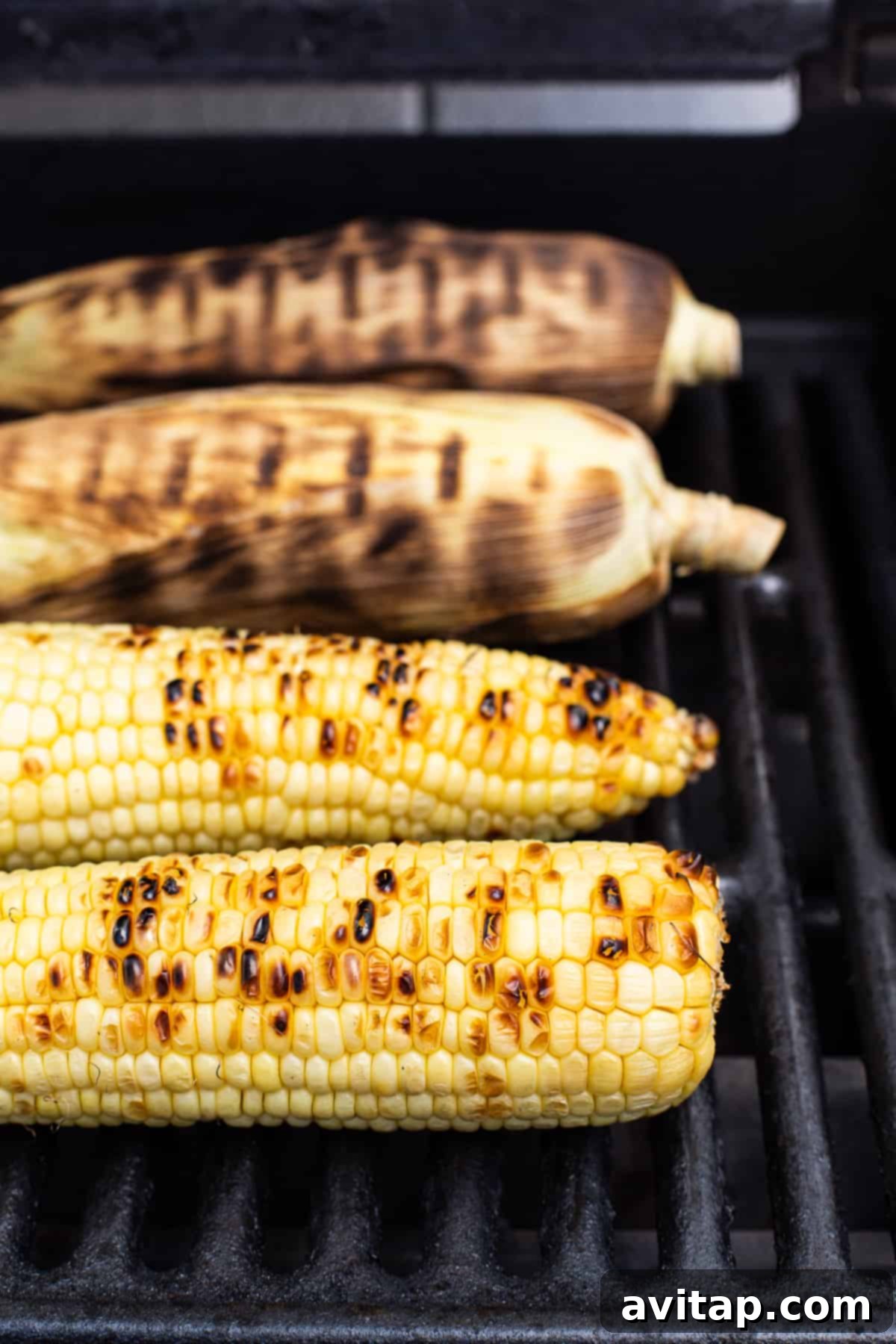 Grilling Corn: Visual Guide to Both Husk-On and Shucked Methods Four ears of corn cooking directly on the grill grates.