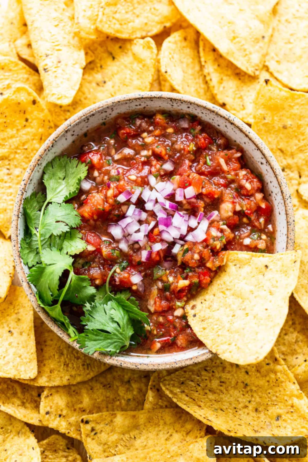 A bowl of delicious homemade salsa served with crispy tortilla chips, ready for dipping.