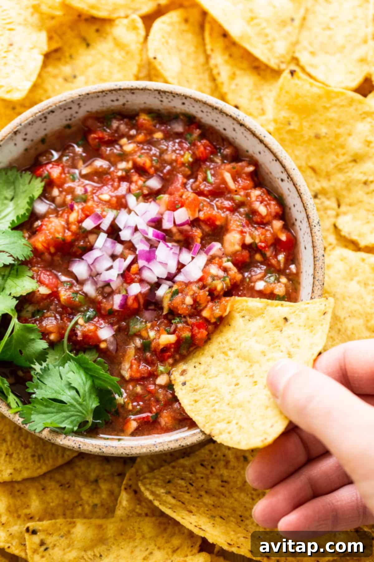 A hand scooping fresh homemade salsa with a tortilla chip from a bowl, showcasing its readiness to be enjoyed.