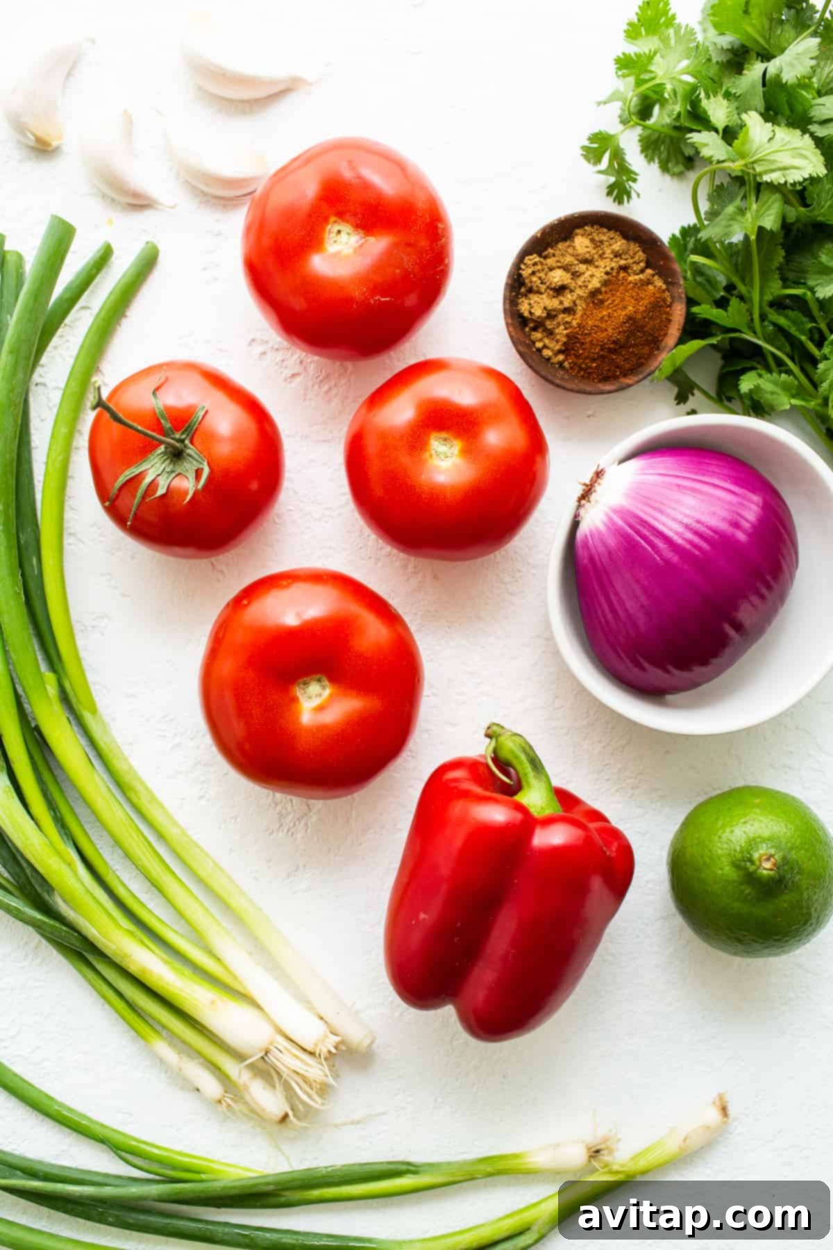 A vibrant selection of fresh ingredients including tomatoes, onions, garlic, and cilantro laid out on a kitchen countertop, ready for salsa preparation.