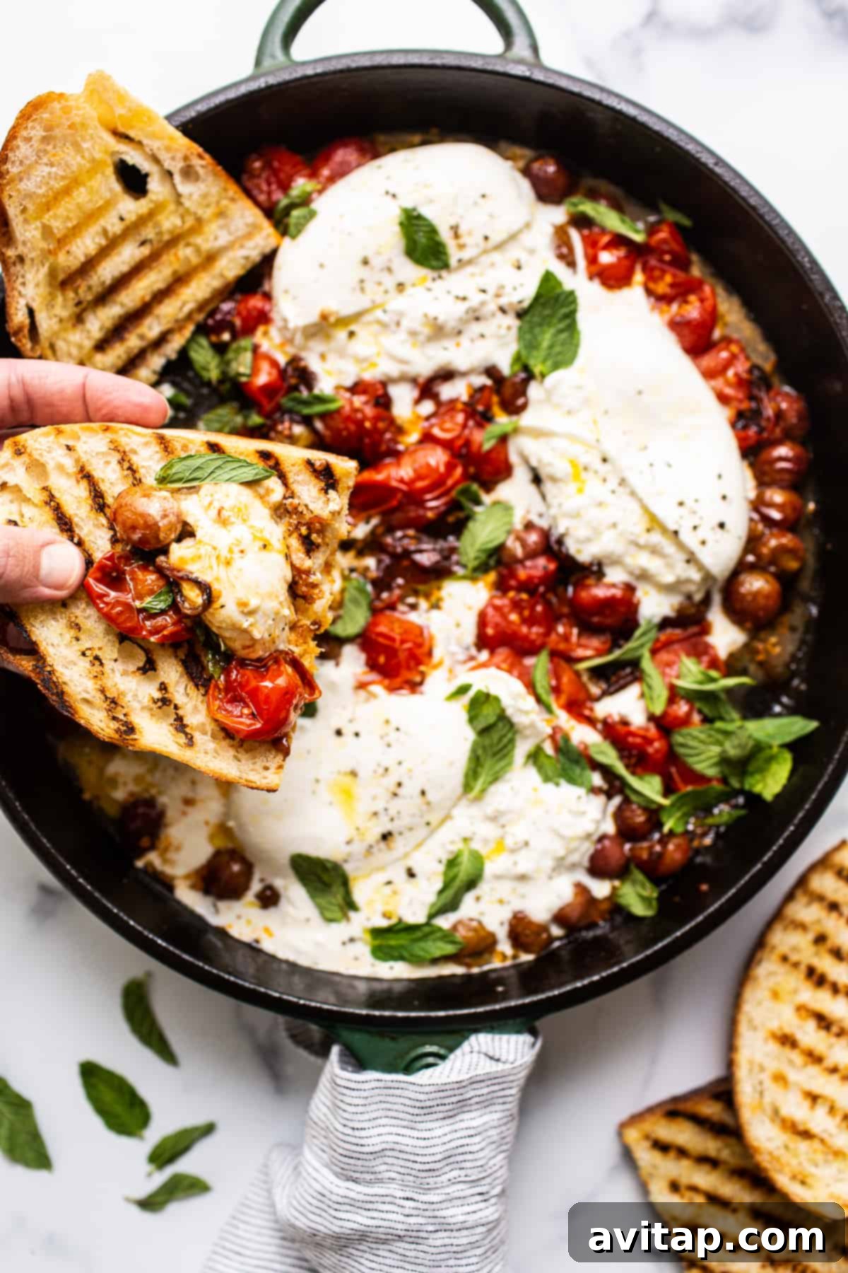 Toasted bread scooping creamy burrata cheese, roasted tomatoes, and grapes from the skillet.