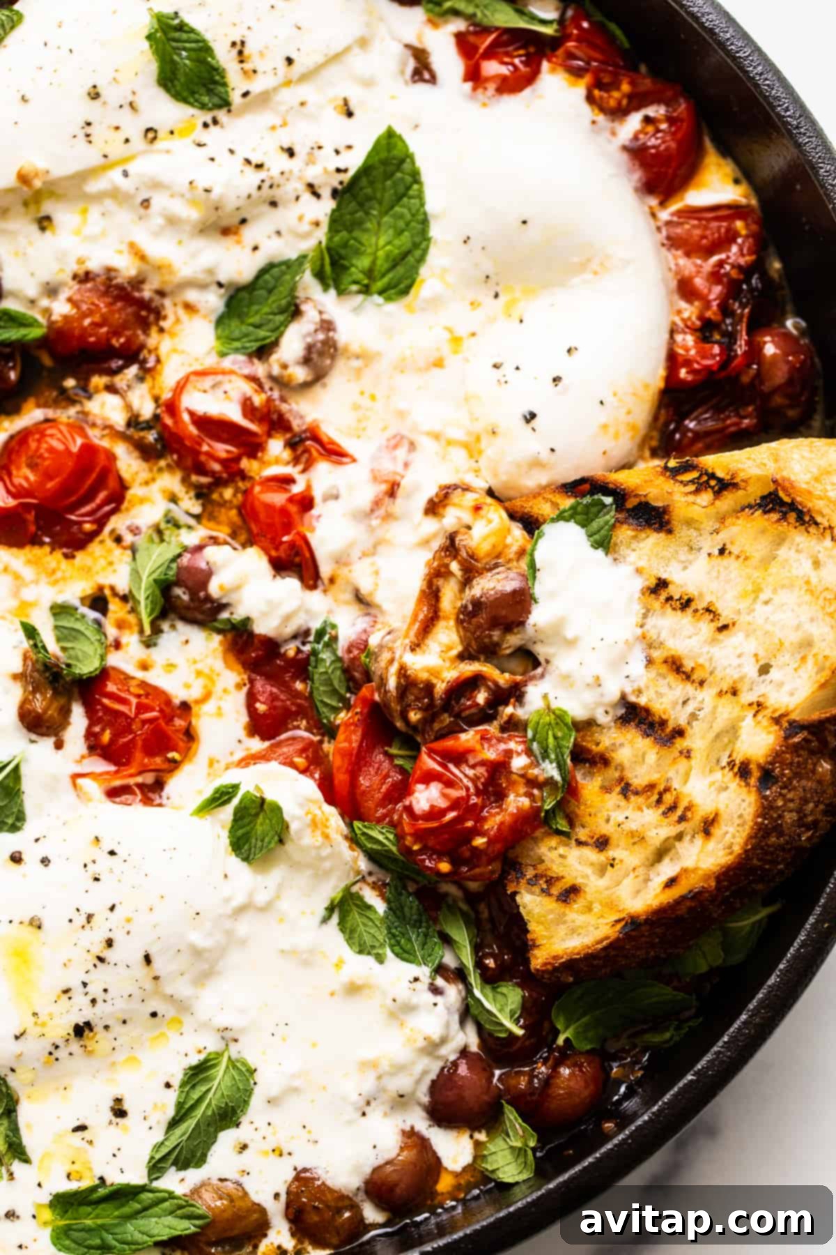 A close-up of the burrata appetizer with toasted bread ready for scooping.