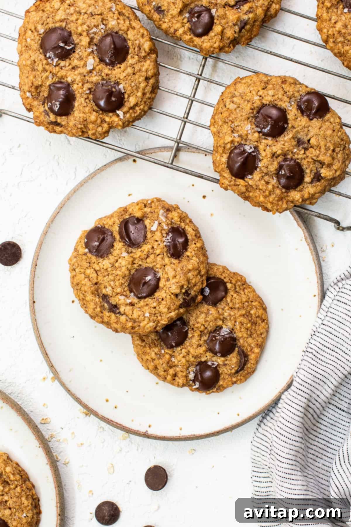 Freshly baked lactation cookies arranged on a plate, ready to be enjoyed.