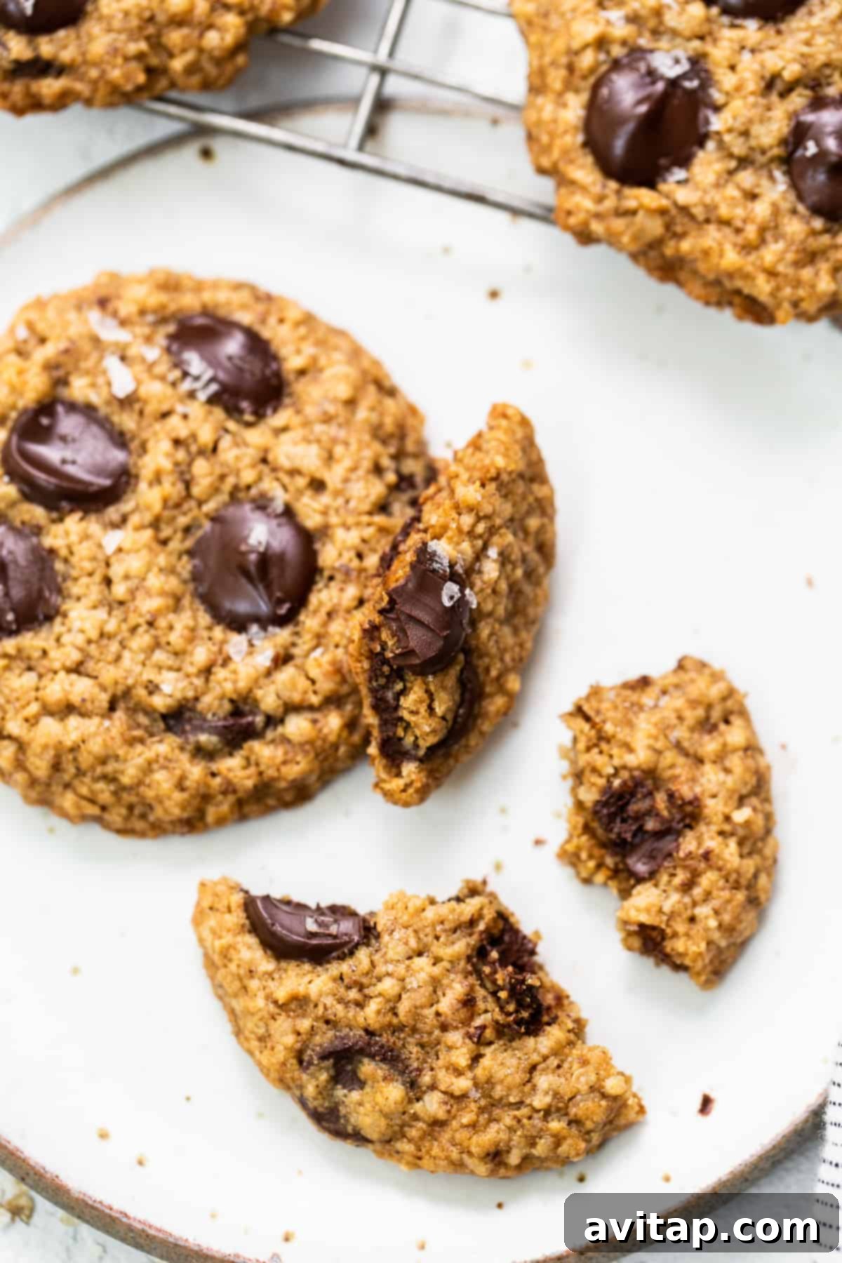A lactation cookie with a bite taken out, revealing its soft, chewy interior with chocolate chips.