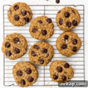 Freshly baked chocolate chip cookies cooling on a wire rack.