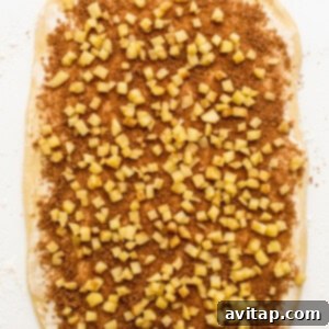 Rolled-out dough covered with cinnamon-sugar filling and diced apples.