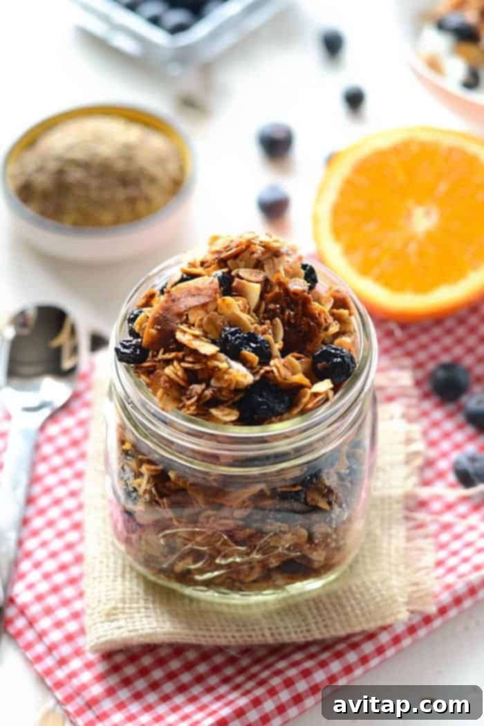 A bowl of homemade blueberry orange granola, featuring visible dried blueberries and orange zest, alongside a spoon.