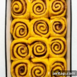 Spiced Pumpkin Cinnamon Rolls 10 Cinnamon rolls in a baking dish on a white surface.