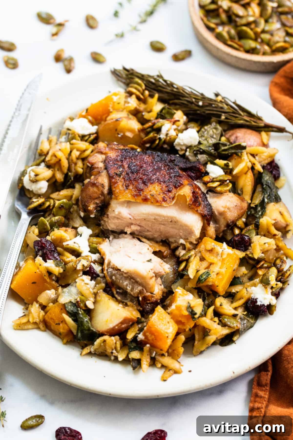 One-Pan Harvest Orzo Dinner 8 A plated serving of Harvest Orzo Skillet, showing a chicken thigh cut in half, with vegetables and orzo.